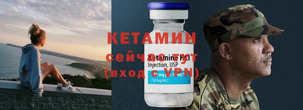 прущие грибы Михайловка