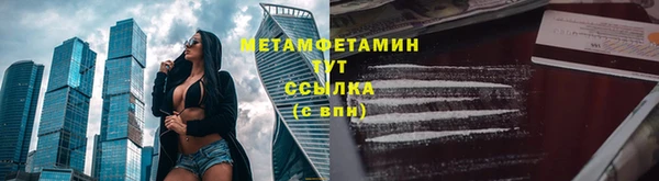 прущие грибы Михайловка