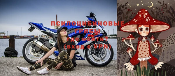 прущие грибы Михайловка