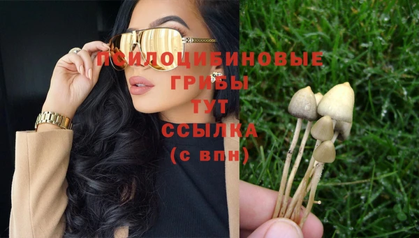 марки nbome Михайлов