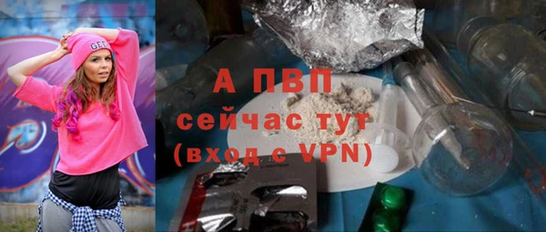 прущие грибы Михайловка