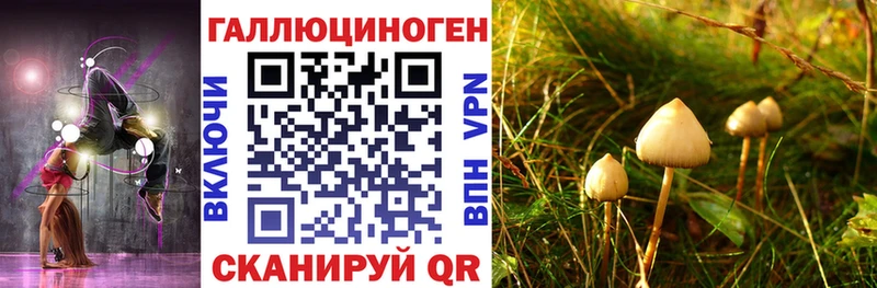 закладки  Ува  Галлюциногенные грибы GOLDEN TEACHER 